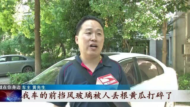 车停高楼下 一根黄瓜飞落击碎车玻璃