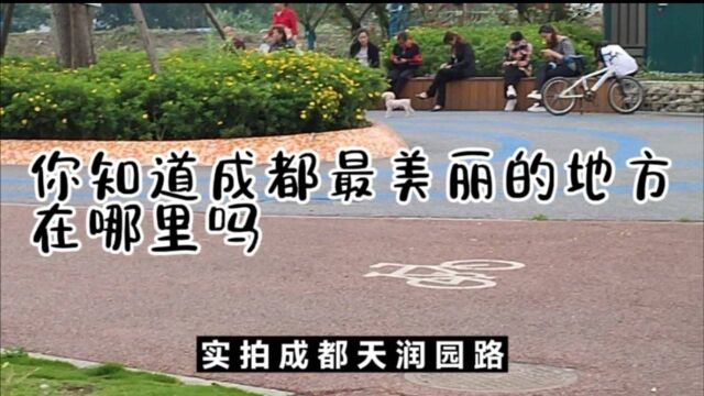 你知道成都最美丽的地方在哪里吗?看看就知道了