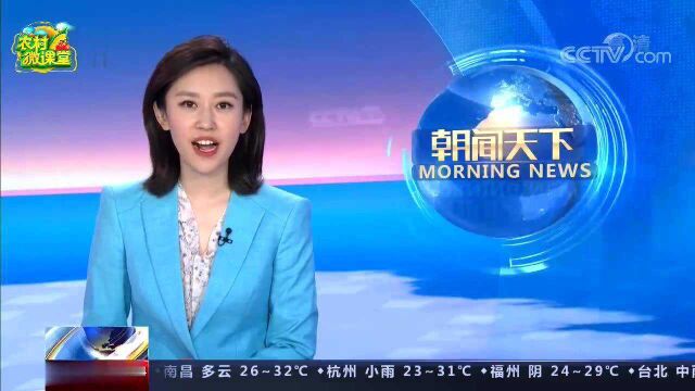 6.27我国科学家突破杂交马铃薯育种技术难题