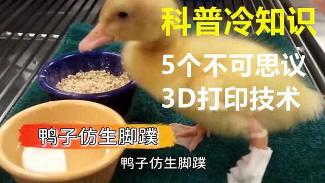 科普冷知识:5个不可思议的3D打印技术#6月爱玩新游特邀作者团#