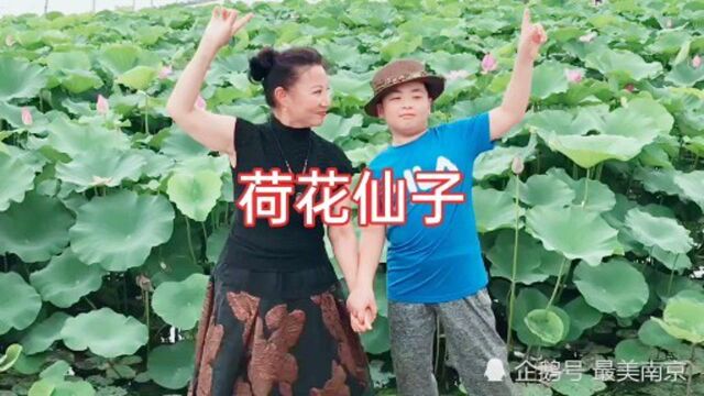 南京:玄武湖的荷花仙子......