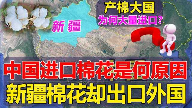 中国每年进口200万吨棉花,新疆棉花却出口国外,是什么原因呢?