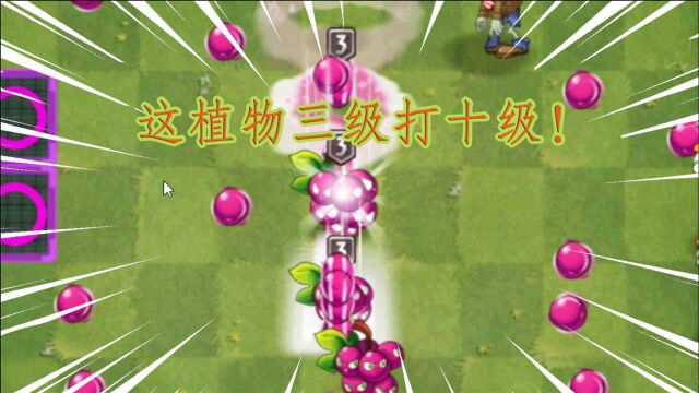 PVZ2:最没排面的植物!唯一没有四级的金卡,三级就能打十级僵尸