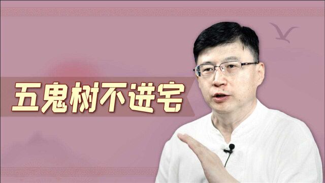 院子种树有讲究,老祖宗总结俗语:五鬼树不进宅,哪些树呢?