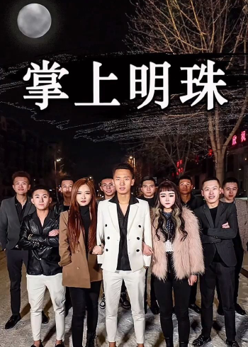 45. 《掌上明珠》 .1原创新剧，正式更新：剧情精彩，请勿模仿，这里有你们想要的派头！
