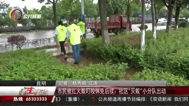 市民被红火蚁叮咬休克后续:社区“灭蚁”小分队出动