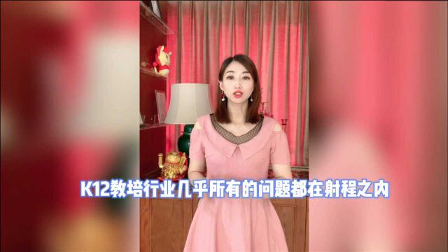 教育双减政策落地,K12教培机构的出路在哪里?