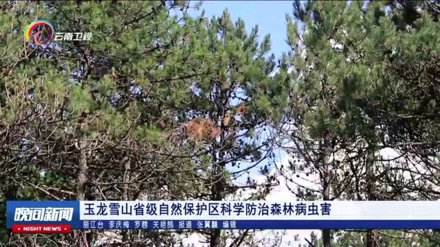 玉龙雪山省级自然保护区科学防治森林病虫害