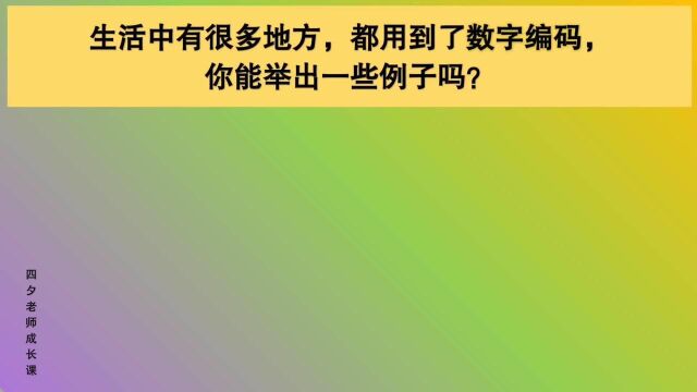 四年级数学:举出生活中数字编码的例子!