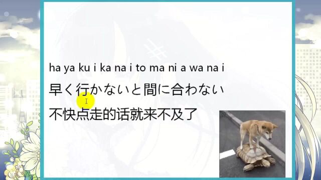 怎么学习日语?日语初学入门,日语日常用语#知识ˆ’知识抢先知#