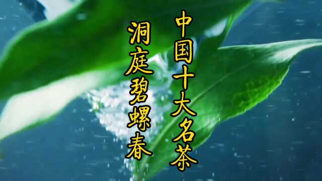 中国十大名茶榜之洞庭碧螺春