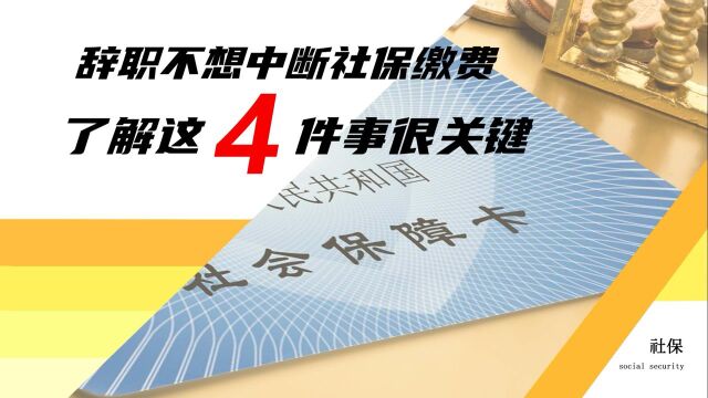 想要换工作,怎样才能保证自己的社保不断缴?不妨尝试这4个办法