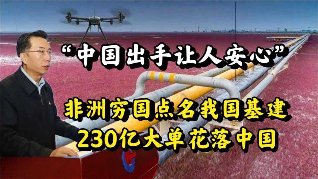 230亿“黑金管道”交给中国,中企拿下非洲大单,非洲成中国宝地