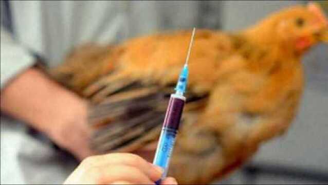 广东惠州报告1例H5N6病例,患者已在定点医院接受治疗