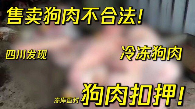 售卖狗肉不合法!四川一冷库发现冷冻狗肉,冻库查封,依法扣押!