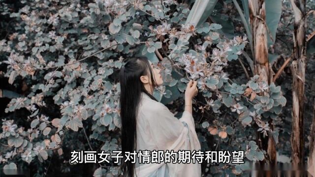 诗经中的玉文化