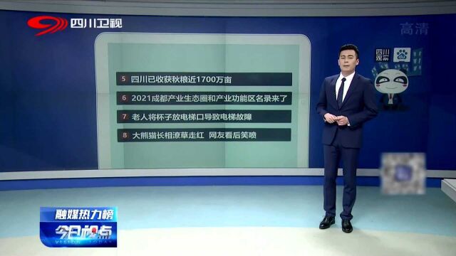 老人将杯子放进电梯口竟导致电梯故障!监控拍下骇人一幕!