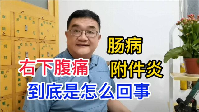 附件炎还是阑尾炎,右下腹痛是怎么回事?中医:湿热下注需要鉴别