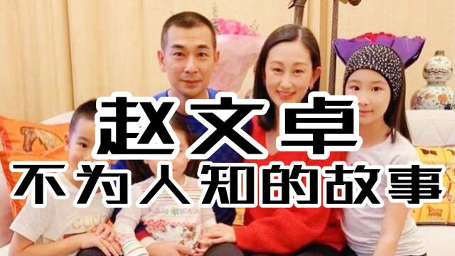 赵文卓 曾经红及一时,但是后来他却遇到了一些波折