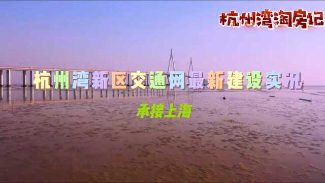 宁波杭州湾新区交通网最新建设实况,承接上海,互通杭州,连脉宁波