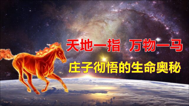 “天地一指,万物一马”,庄子彻悟的生命奥秘,人自然活得通透