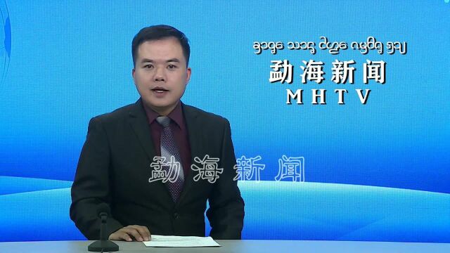 勐遮镇党群合力坚决打赢农村人居环境整治战