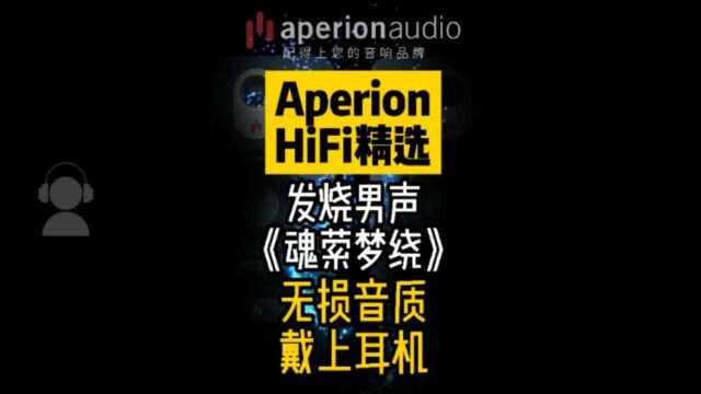 【Aperion HiFi精选】发烧男声《魂萦梦绕》无损音质 戴上耳机听!