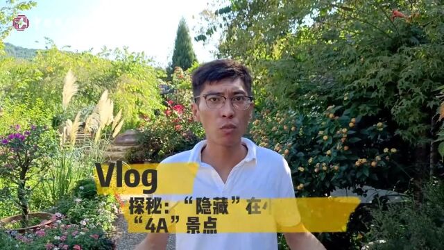 美丽乡村纪事 走进乡村看小康丨Vlog:探秘“隐藏”在小村庄里的“4A”景点