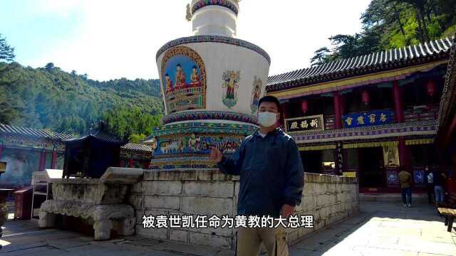 探秘五台山镇海寺,寺院中有座宝塔,竟有活佛在里面