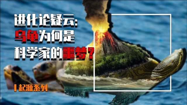 乌龟起源:乌龟的祖先没有壳?它为什么会成为科学家的噩梦?