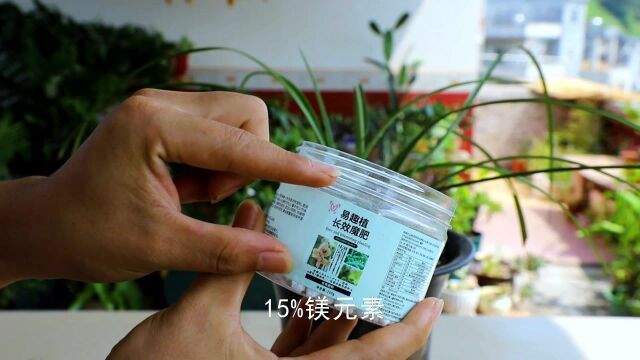 进口的肥料太落后了,国产才是正道,高手都在用