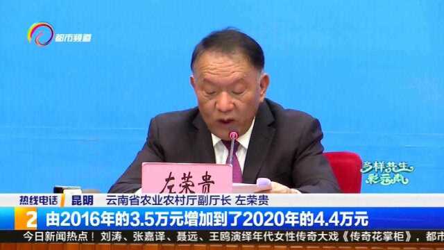 云南鲜切花生产面积,产量出口额连续27年全国第一