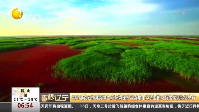 2021盘锦红海滩湿地生态环境保护与湿地生态资源的可持续发展论坛举行