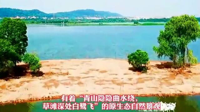 #热点速看#武汉后官湖湿地公园,纯原生态景观,假期游玩的好去处!后官湖湿地公园,位于武汉市蔡甸区中北部 假期游玩的好去处,也是武汉最大的湿地...