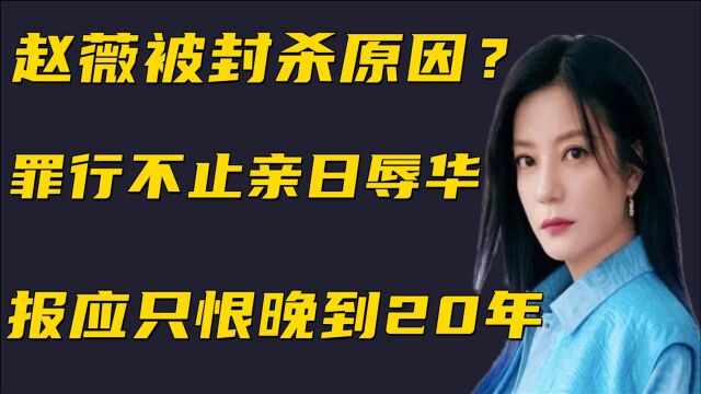 赵薇被封杀原因?罪行不止亲日辱华,报应只恨晚到20年