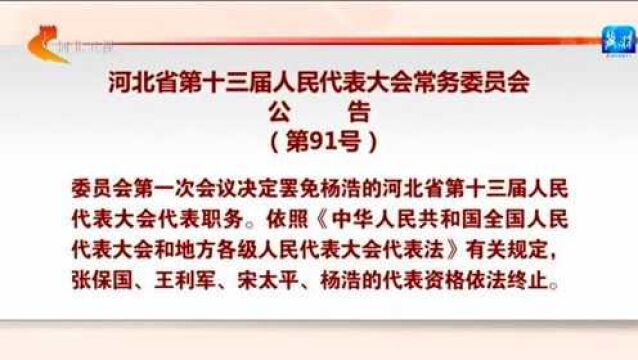 河北省第十三届人民代表大会常务委员会公告(第91号)