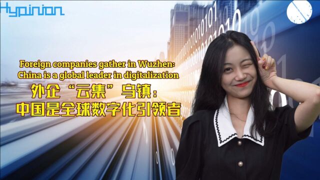 【海评面】“中国成国外互联网企业争夺新客户的关键战场”