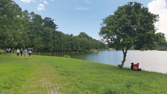 东莞松山湖风景区,园内绿道围绕湖水25公里风景好