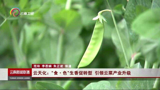 云天化:食色生香促转型 引领云菜产业升级