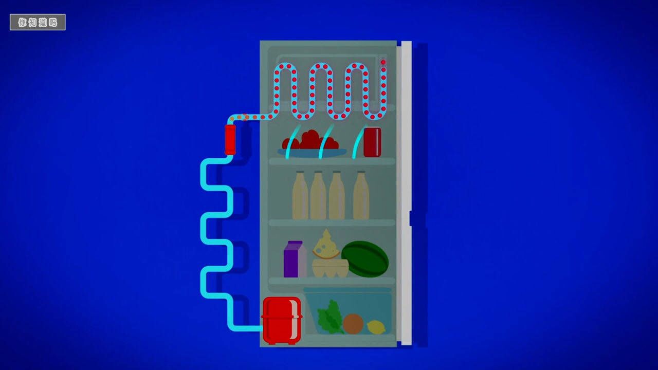 想了解冰箱原理和制冷过程吗?热成像摄像机见证食物变冷过程