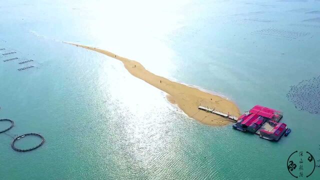 福建海上发现一人间仙境,退潮后海中出现绿洲,像鱼骨又像是蝌蚪