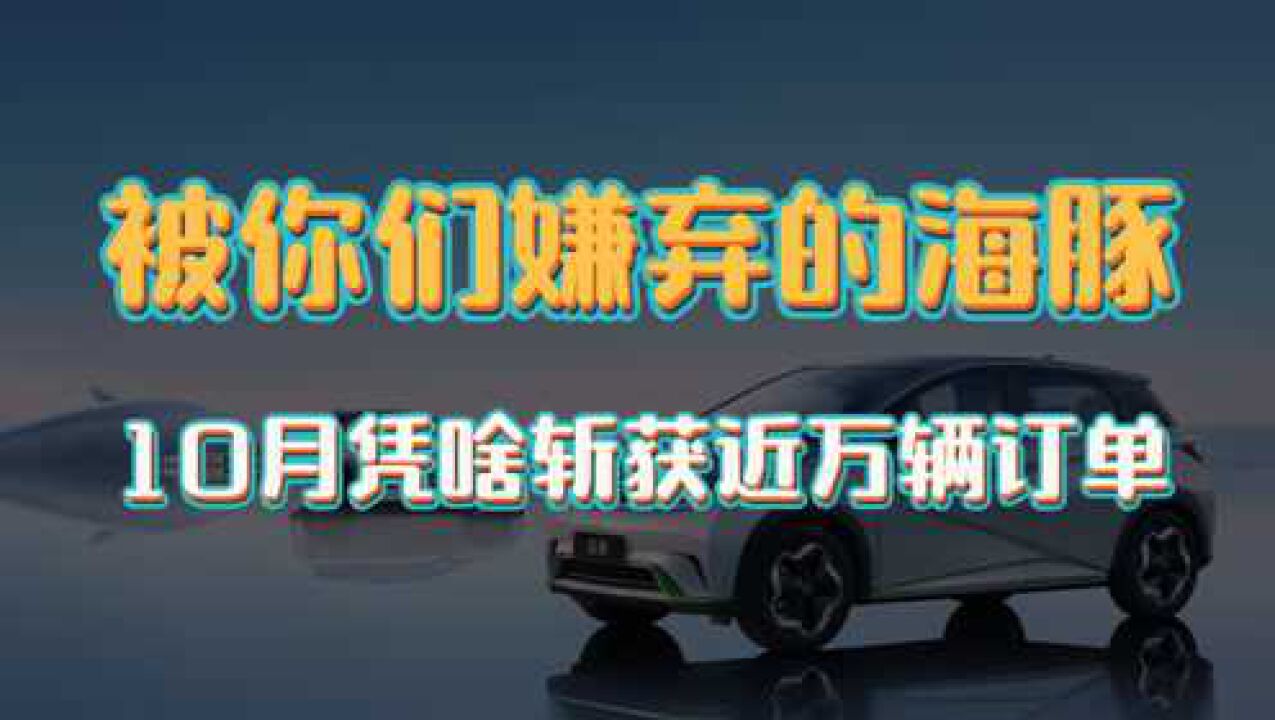 那个被你们嫌弃的海豚,10月订单接近万辆,究竟打了谁的脸?