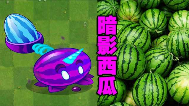 PVZ新植物:暗影西瓜投手!