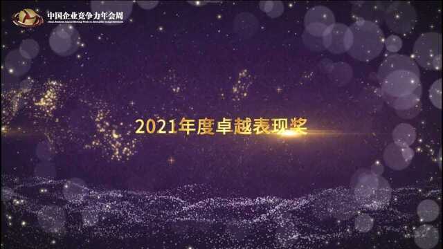 2021年度卓越表现奖 最佳模式创新奖 神州租车