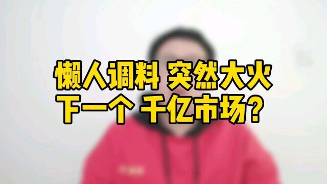 懒人调料 突然大火,它真的是下一个千亿风口吗?