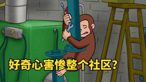猴子自学修水管，导致全小区没水喝，这样修管道还是第一次见