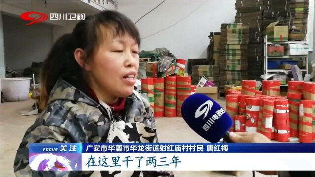 广安市“金弹子”上新了,网上销售竟增加三倍,赶紧一睹为快吧!