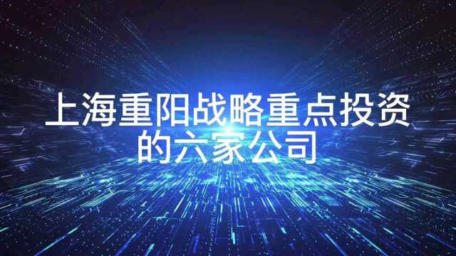 上海重阳战略重点投资的六家公司