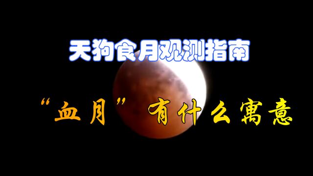 观测攻略请查收!罕见天狗食月天象将上演,“血月”有什么预兆吗