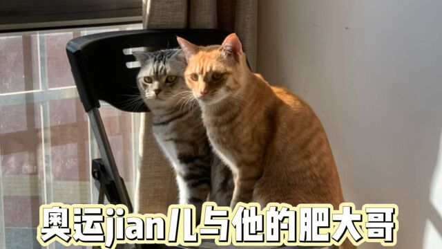 奥运jian儿与老肥的午后小时光